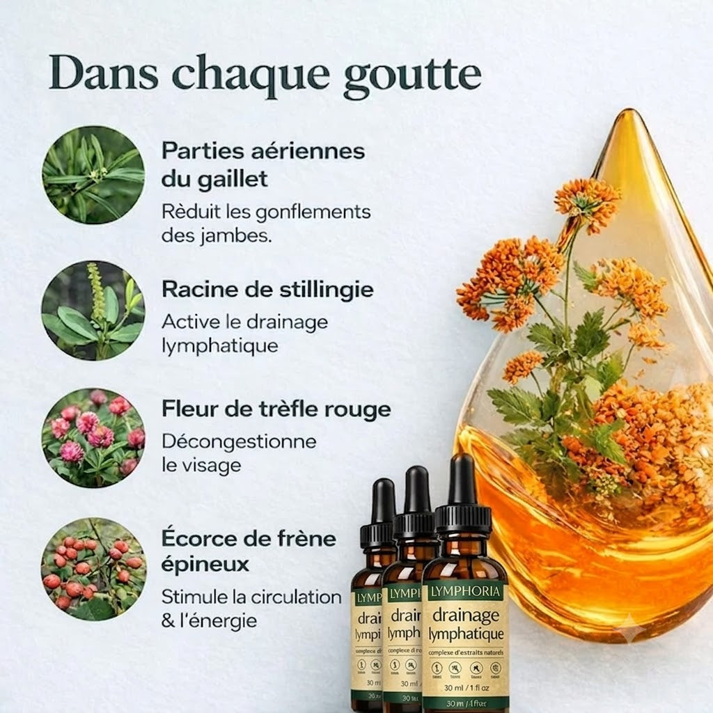 Le Drainage Lymphatique by LYMPHORIA - la solution pour le corps de rêve